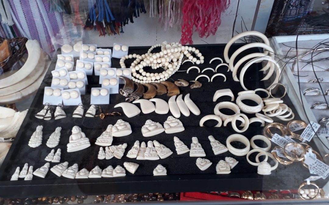 Kunming customs seizes nearly 16 kg of ivory items (China)