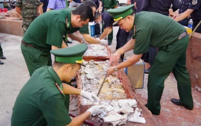 Vietnam discovers more than a tonne of concealed ivory illegally shipped from Africa